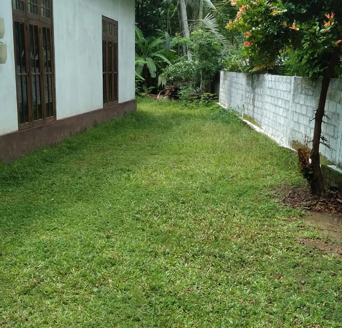 Lotus Hostel Negombo Sri Lanka